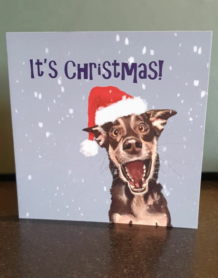 Xmas Greeting cards by Raspberryspudwhistle – It's Christmas