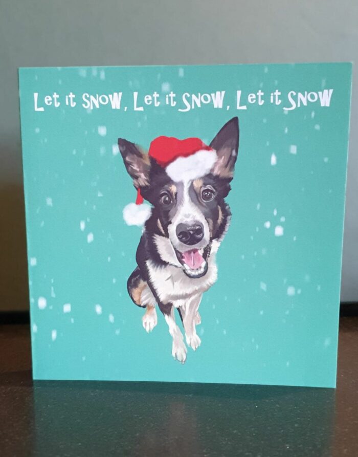 Xmas Greeting cards by Raspberryspudwhistle – Let it Snow